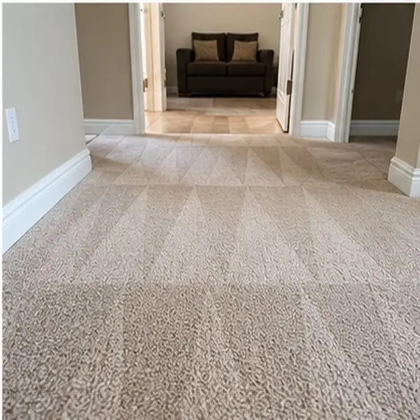 Carpet cleaning results in Tottenham VIC