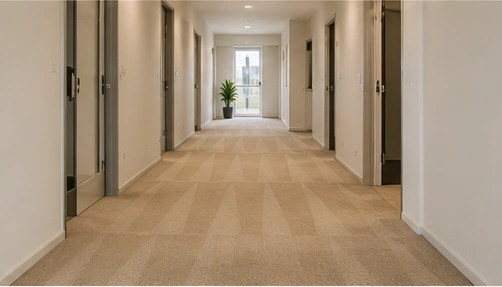 Carpet types cleaned in Tottenham